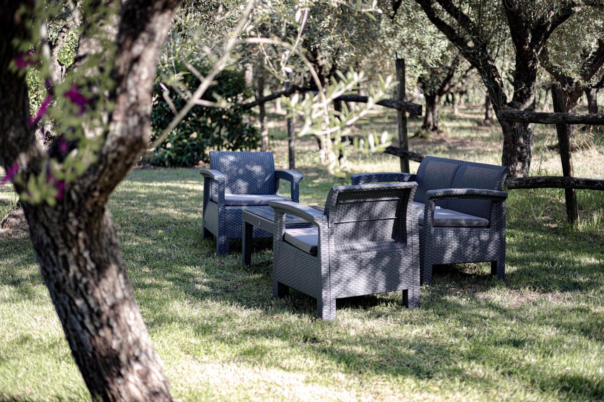 Agriturismo Il Pozzo Casal Velino Dış mekan fotoğraf