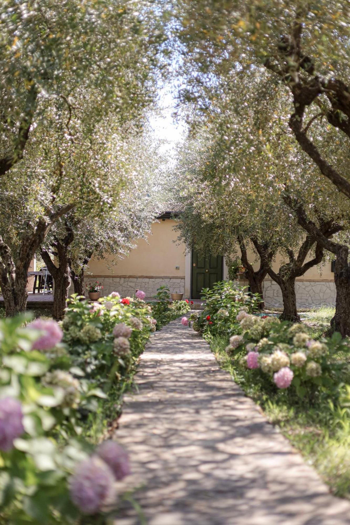 Agriturismo Il Pozzo Casal Velino Dış mekan fotoğraf